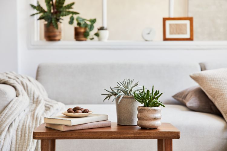 Organized coffee table